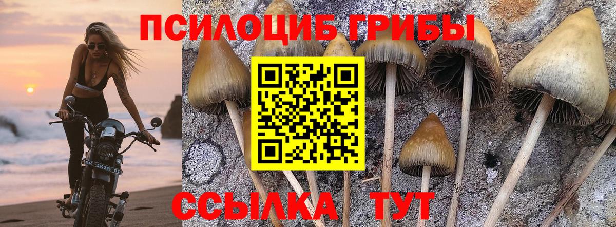 Нижневартовск  Псилоцибиновые грибы мухоморы  Псилоцибиновые грибы мицелий  Вход с VPN 